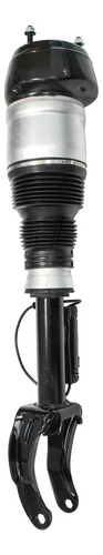 Amortiguador Delantero Derecho Ml400 2012-2015 6199030, foto 1